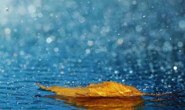 പ്രണയമഴ