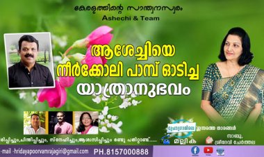 ആശേച്ചിയെ നീര്‍ക്കോലി പാമ്പ് ഓടിച്ച യാത്രാനുഭവം