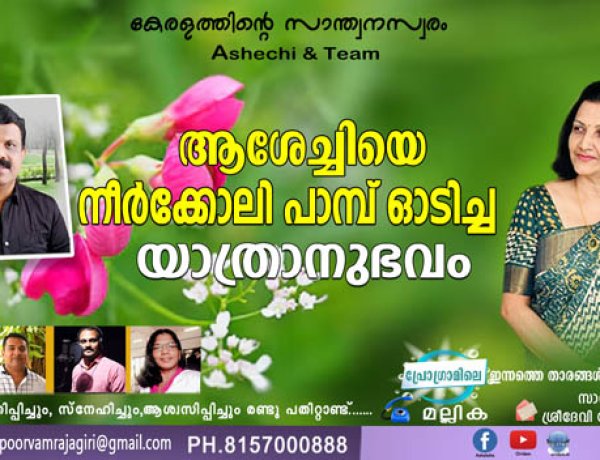 ആശേച്ചിയെ നീര്‍ക്കോലി പാമ്പ് ഓടിച്ച യാത്രാനുഭവം