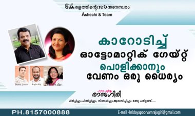 കാറോടിച്ചു ഓട്ടോമാറ്റിക് ഗെയിറ്റ് പൊളിക്കാനും വേണം ഒരു ധൈര്യം