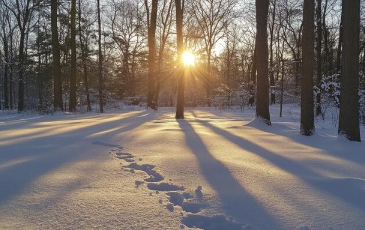 ചൊല്‍ക്കൊള്ളേണ്ട ചിന്തകള്‍ (കവിത)