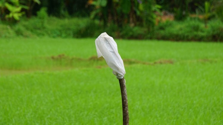വെറുമൊരു നോക്കുകുത്തി