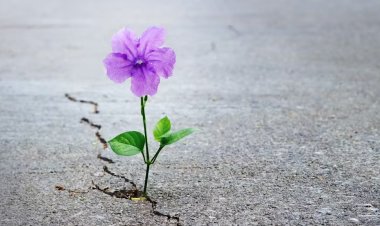 പ്രതീക്ഷയുടെ ഉയരം കുറയ്ക്കുമ്പോൾ നിരാശയുടെ ആഴം ചുരുങ്ങും..