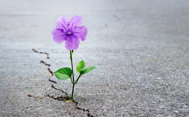 പ്രതീക്ഷയുടെ ഉയരം കുറയ്ക്കുമ്പോൾ നിരാശയുടെ ആഴം ചുരുങ്ങും..