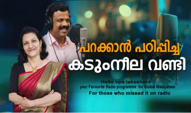 പറക്കാന്‍ പഠിപ്പിച്ച കടുംനീല വണ്ടി