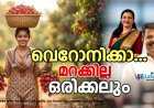വെറോനിക്കാ...മറക്കില്ല ഒരിക്കലും