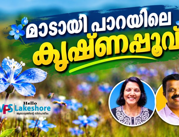 മാടായി പാറയിലെ കൃഷ്ണപ്പൂവ്
